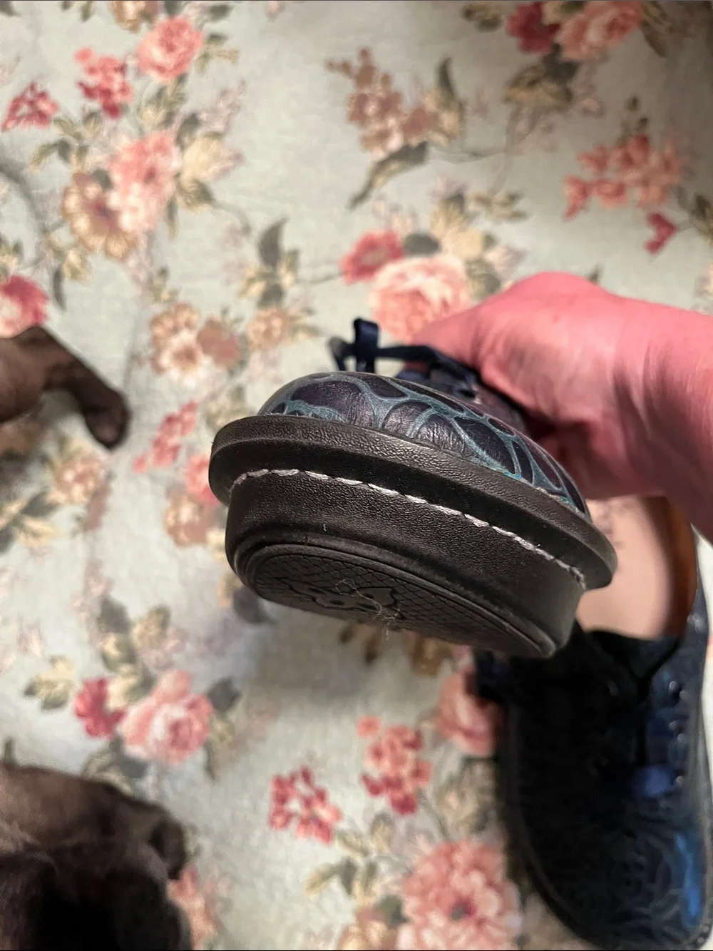 Alegria Navy Lace-Up Floral-Patterned oxfords